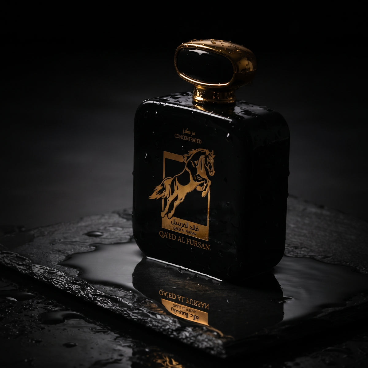 Garninia.b Qaed Al Fursan Concentrated Eau de Parfum for Men – Long Lasting Oriental Woody Perfume 100ml