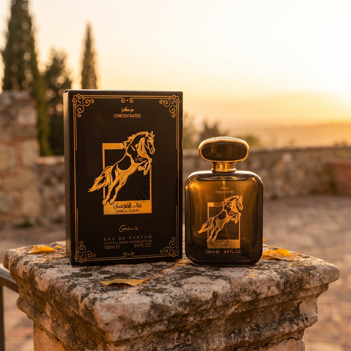Garninia.b Qaed Al Fursan Concentrated Eau de Parfum for Men – Long Lasting Oriental Woody Perfume 100ml